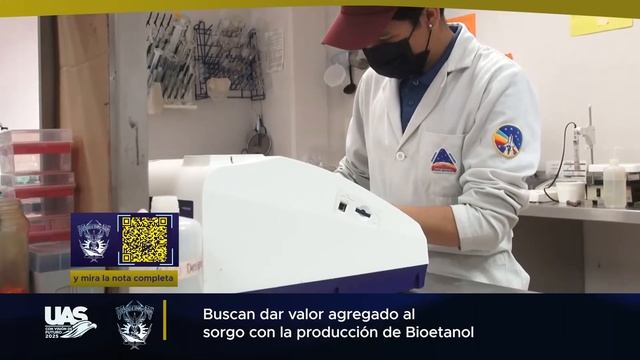 Trabaja investigadora en proyecto sobre producción de bioetanol a partir del sorgo
