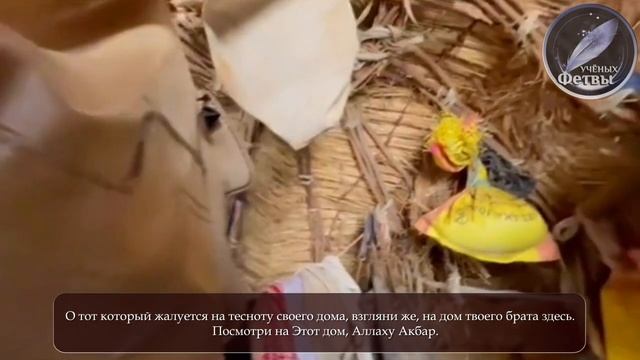 Жалуешься на тесный дом? Посмотри же до конца брат мой..