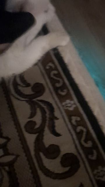 Чесать Васю.