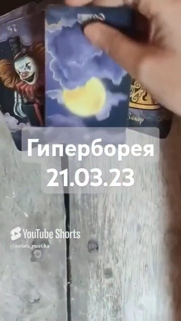 Видео WhatsApp 2025-03-08 в 09.36.29_23fe1383