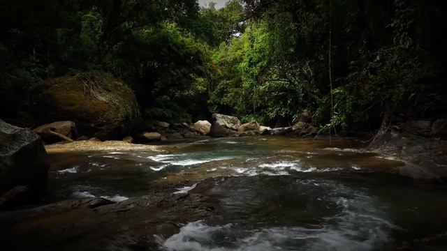 JUNGLE SURVIVAL MASTERY: CONQUERING THE WILD WITH ESSENTIAL SKILLS