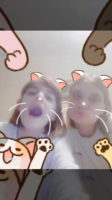 Маски Sweet snap кошечки