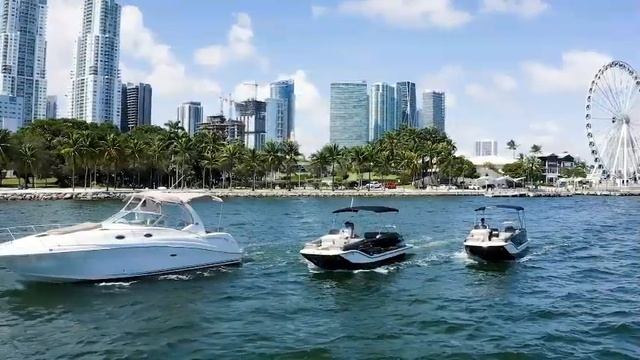 Get to know Miami from another angle & spend the day like a boss!