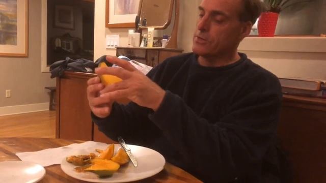 Northern California Grown “Carrie” Mango Taste Test