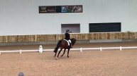 Rinette P - Prelim 14 Dressage Test - Kelsall Hill