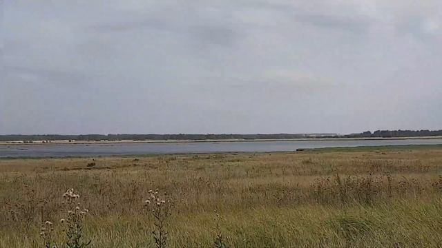 Видеоэкскурсия. Озеро Кара-Чура
