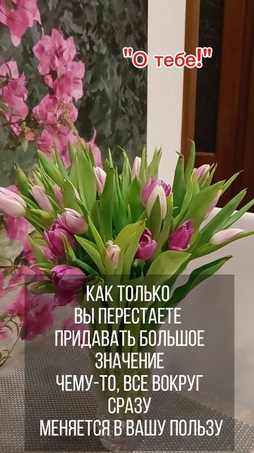 "О тебе!"