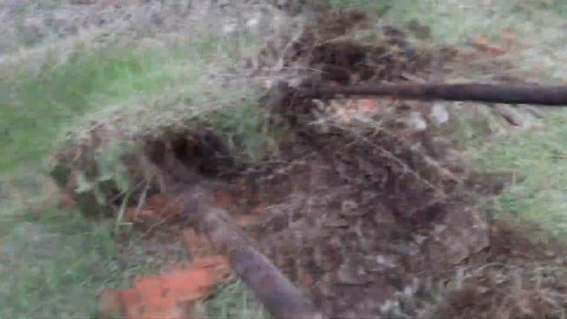 Ищу металл в роще! И я был очень удивлен