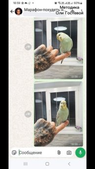 Марафон, чат ♡ Похудеть.
Марафон. Меню.