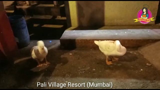 Pali Village Resort & Club In Mumbai | Best Restaurant | Dhaba in Mira Road
