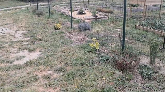 Semis et plantation  en jour "fruit" et en jour "fleur" : tomates, melons...et champ fleuri.