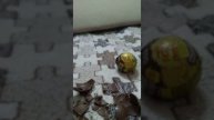 Распаковка шаров чупа чупс. Мне попалась повторка Гони