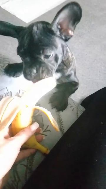 1000000285.mp4