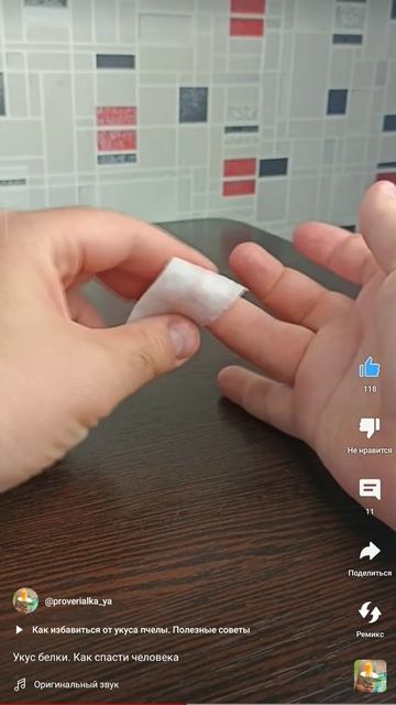 Как избавиться от укуса белки. Последствия укуса