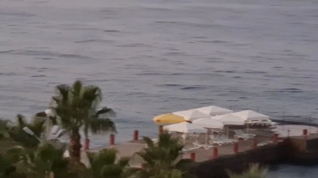 Турция. Kemal bay 5 Star. вид с балкона. 5 этаж. 5 утра.