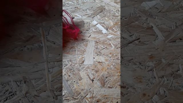 Детская шапка с ушками спицами.  Как связать?! Теория (Kitty Cap) часть1