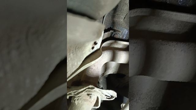 1000003646.mp4