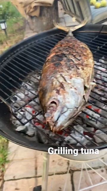 Grilling big fish tuna