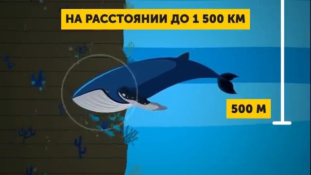 Насколько на Самом Деле Глубокий Океан