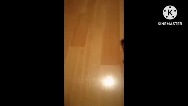 Подготовка к ролику Нуба и Про