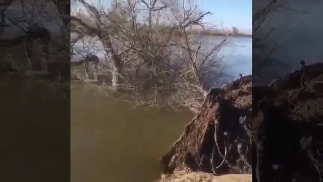 Обычное дело на реке, особенно весной. 😨