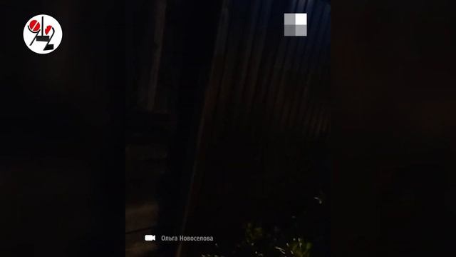 Хозяйка 3 раза травила щенка