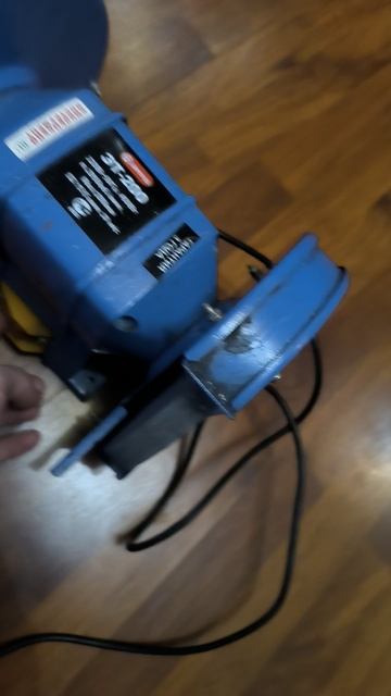 VID_20250219_174200_020