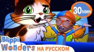 📹 Зачем Кошке Усы? | Обучающие мультики для детей | Blippi Russian →