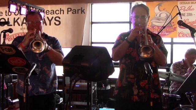 Ocean Beach 2018 Matt's Allstar Jam Band  Chicago town Polka