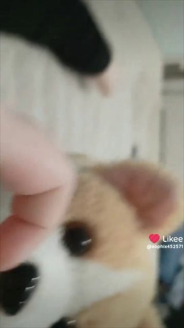 VID_20250308_000605