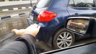 Дрессированные макдональдс воробьи