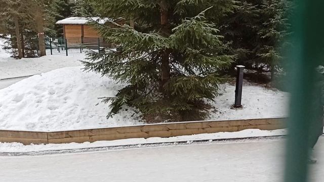 Каток в Охта парке!