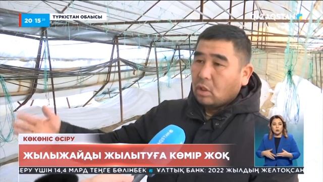 Түркістан облысында жылыжайды жылытуға көмір жоқ