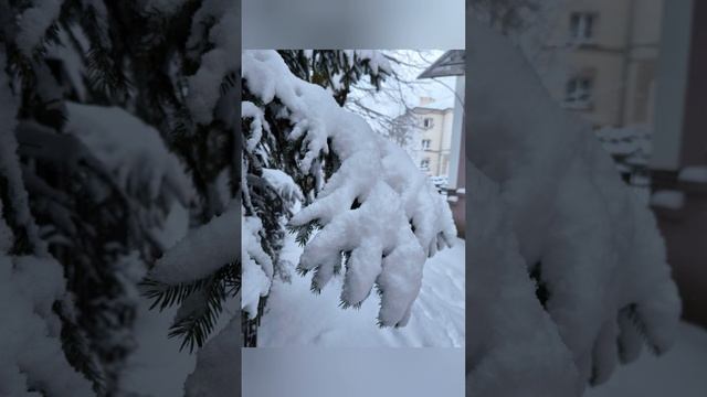 Калининград. Снегопад в феврале