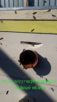 07.03.2025. Первый облет