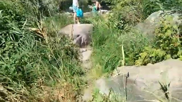 Стоянка в Курипчино. Заповедник