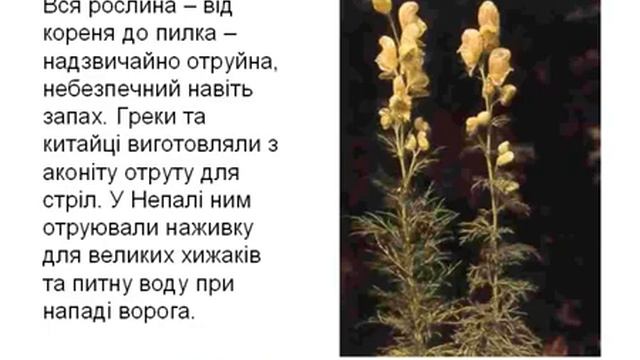 1 июня 2022 г.