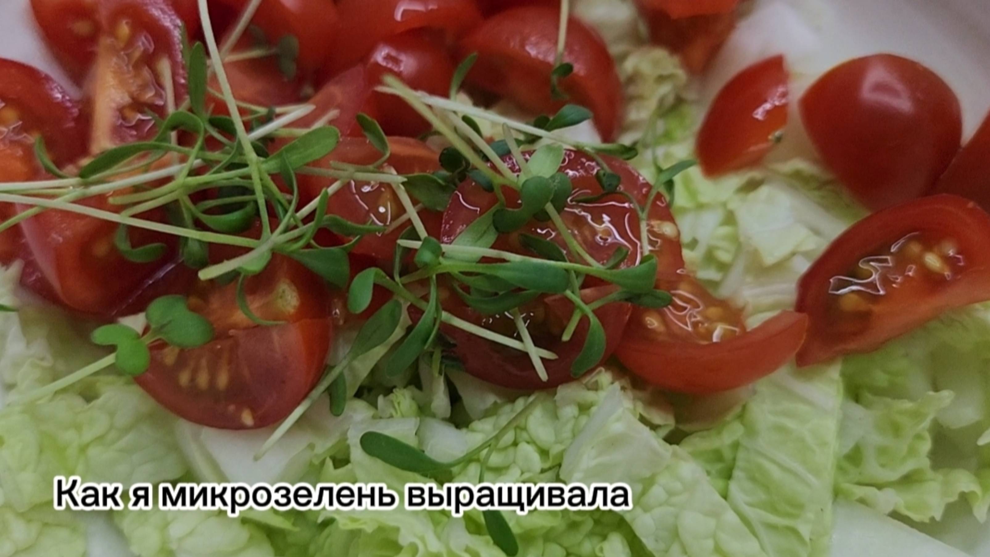 Как я микрозелень выращивала в первый раз