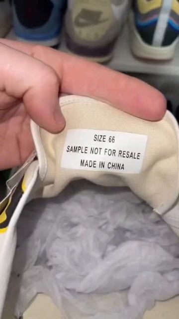 I own the BIGGEST Shoes in the world