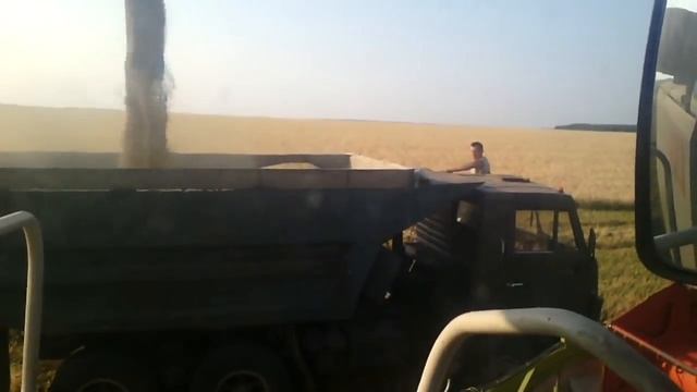 Уборка озимого ячменя  Class Lexion 580  , выгрузка зерна в КАМАЗ 5511