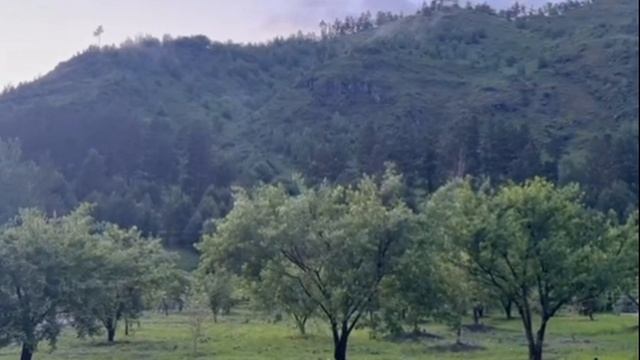 Композиция 1