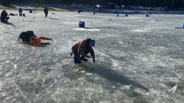 После запуска форель пошла во второй квадрат! 
Пассив (паста+резина) актив (ратлин 105)