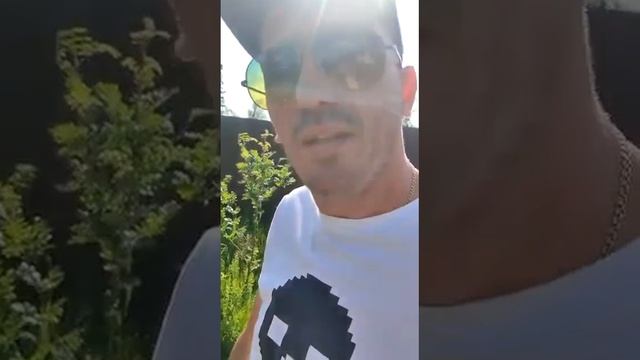 Неописуемый Павлик в Зеленограде