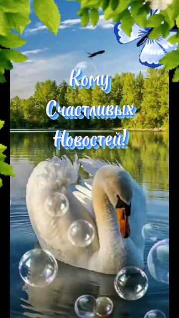 Доброе утро!