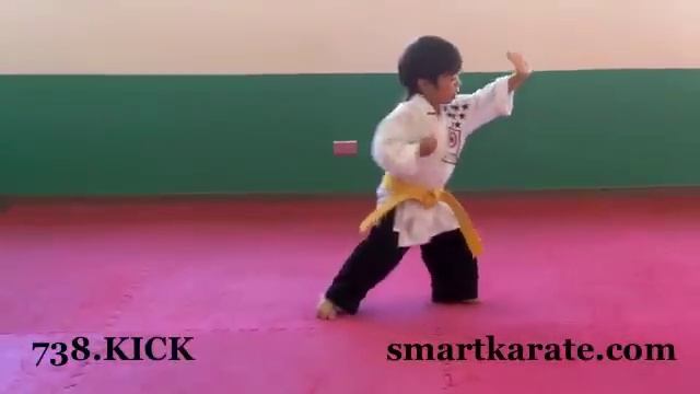 Smart Karate - Karate Kids - Martial Arts for Kids