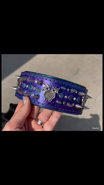Rhaegal’s new custom dragon spike collar! #customdogcollar #dogcollar #gameofthrones #beauceron