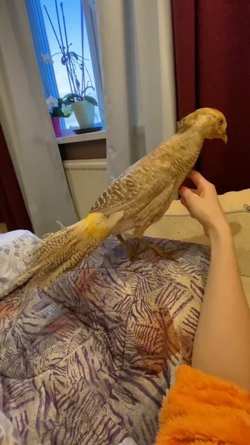 МОЙ МАЛЕНЬКИЙ ТУКО 😍