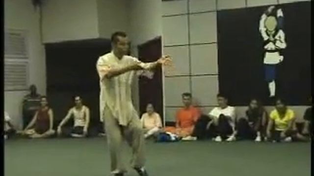 Lao Jia Yi Lu - Chen Taiji - Houston - Shi De Shan, 31st Gen. Shaolin Warrior Monk