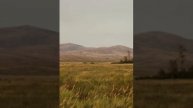 Кәкімбек Салықов - Сарыарқа (орындайтын Еркін Шүкіман)