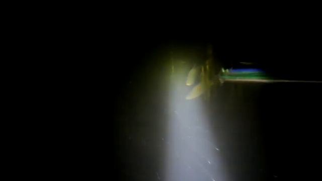 подводная охота на линя